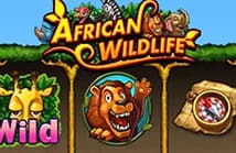 918kiss African Wildlife Classic Slot Games - Monkeyking Club
